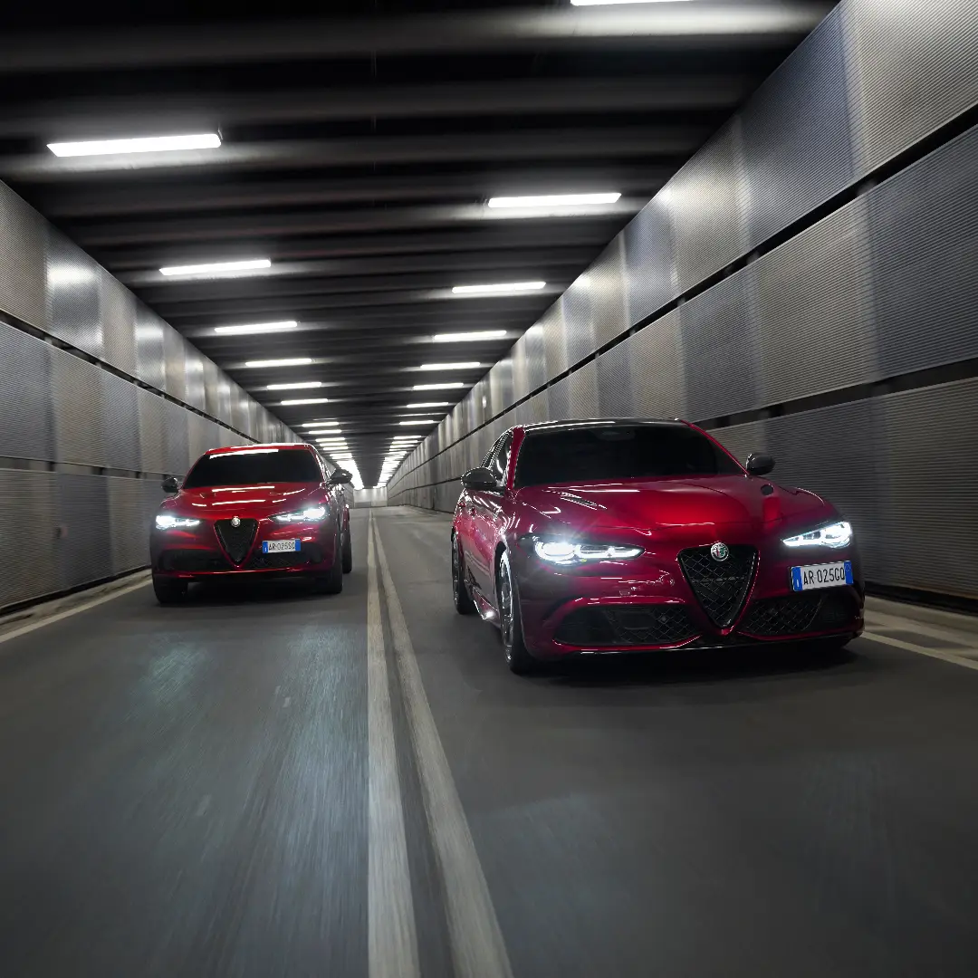 Edizione Limitata Alfa Romeo - Logica Biella