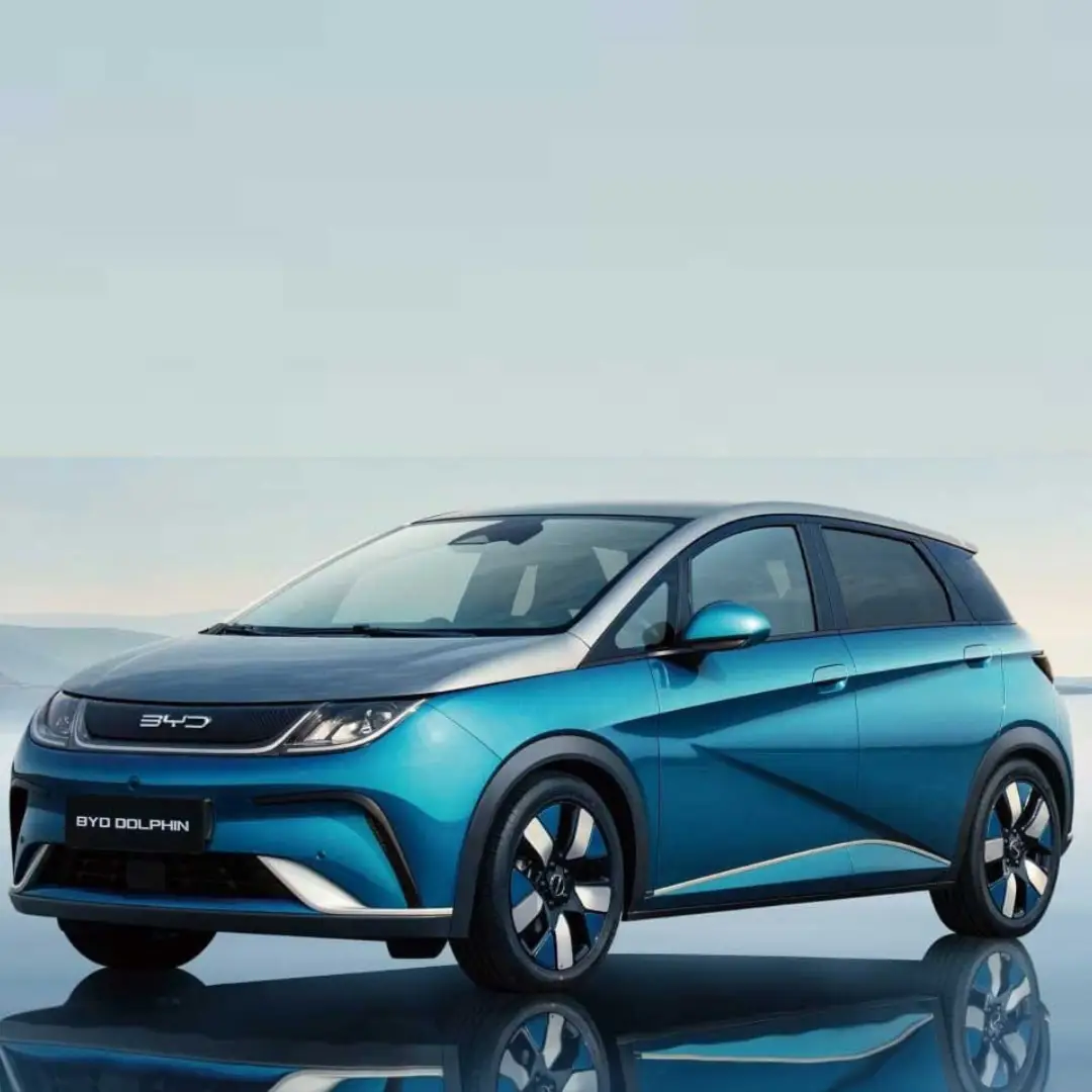 BYD Dolphin Comfort - Logica Biella