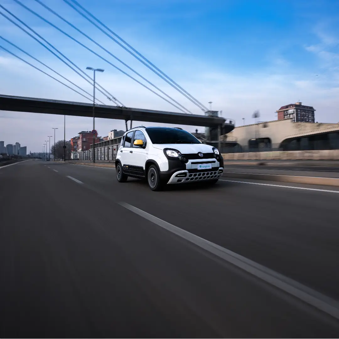 Immagine promozione FIAT Pandina