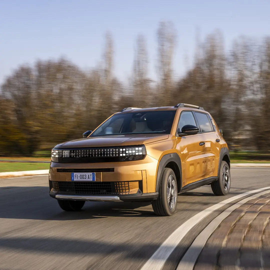 Grande Panda Elettrica - ecoincentivi da Logica