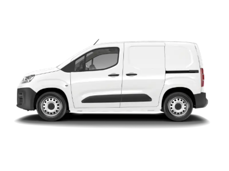 immagine Fiat Professional E-Doblò